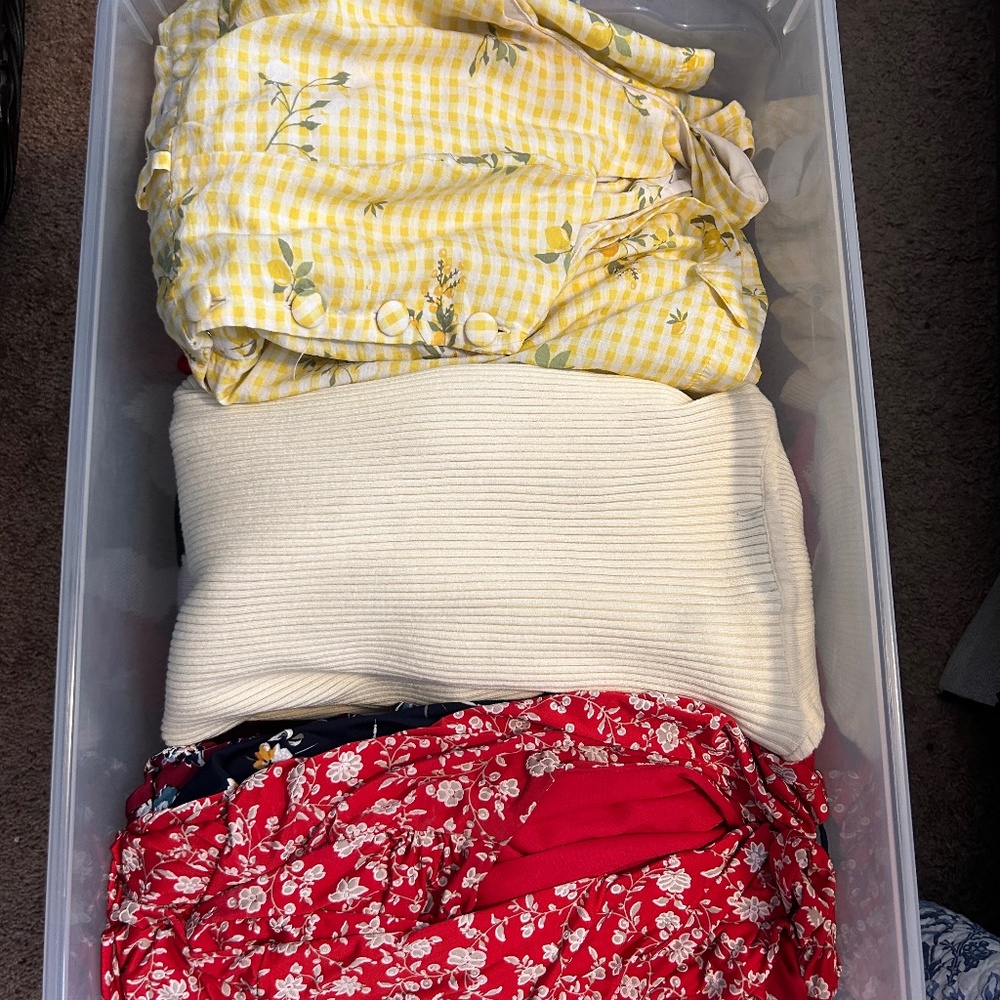Large Box of Women’s size large clothes